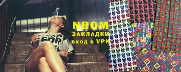 СК Дмитровск