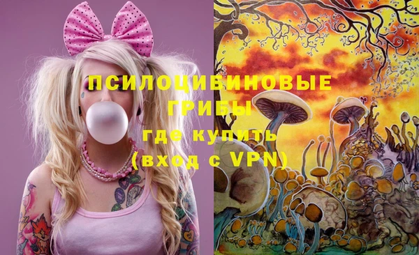 дурь Дмитров