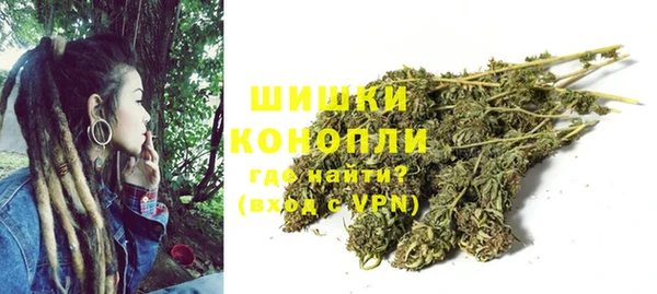 СК Дмитровск