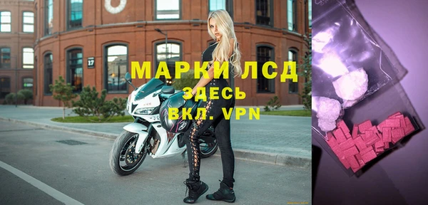 СК Дмитровск