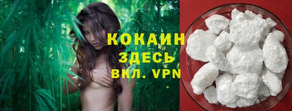дурь Дмитров