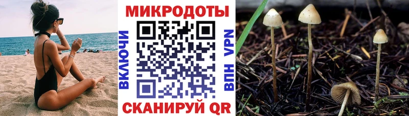 Псилоцибиновые грибы прущие грибы  Купить  Томилино 